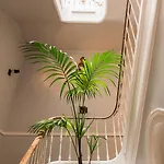 Casa Do Barao Лиссабон