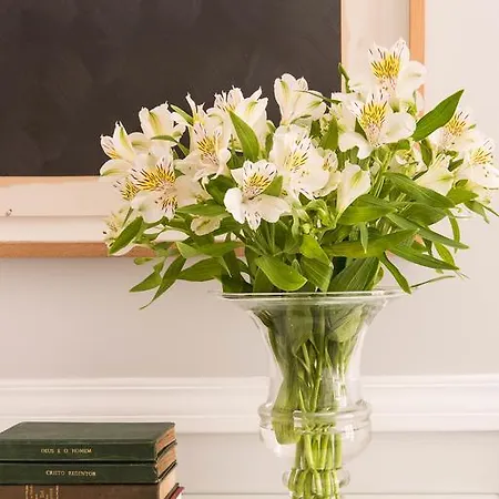 Frühstückspension Casa Do Barao 4*